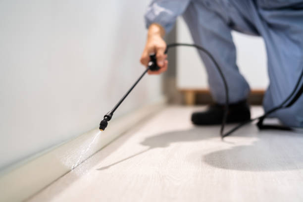 Licensed Ant Control service in La Crescenta-Montrose, CA - Nex Pest Control