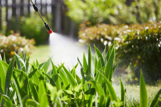 24/7 Emergency Ant Control experts in La Crescenta-Montrose, CA