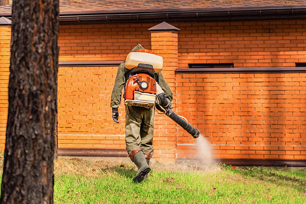 Trusted Bed Bug Control service in La Crescenta-Montrose, CA - Nex Pest Control
